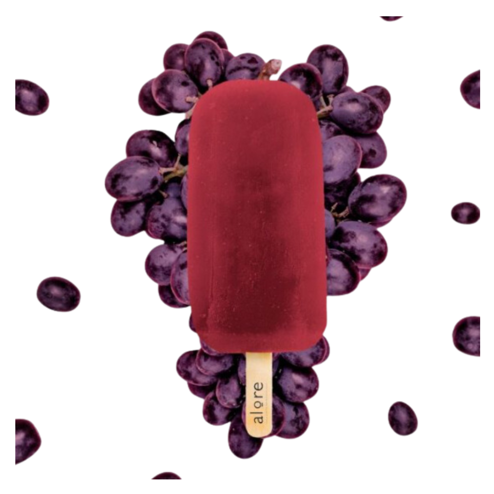 PALETA DE MORA SIN AZUCAR - ALORE