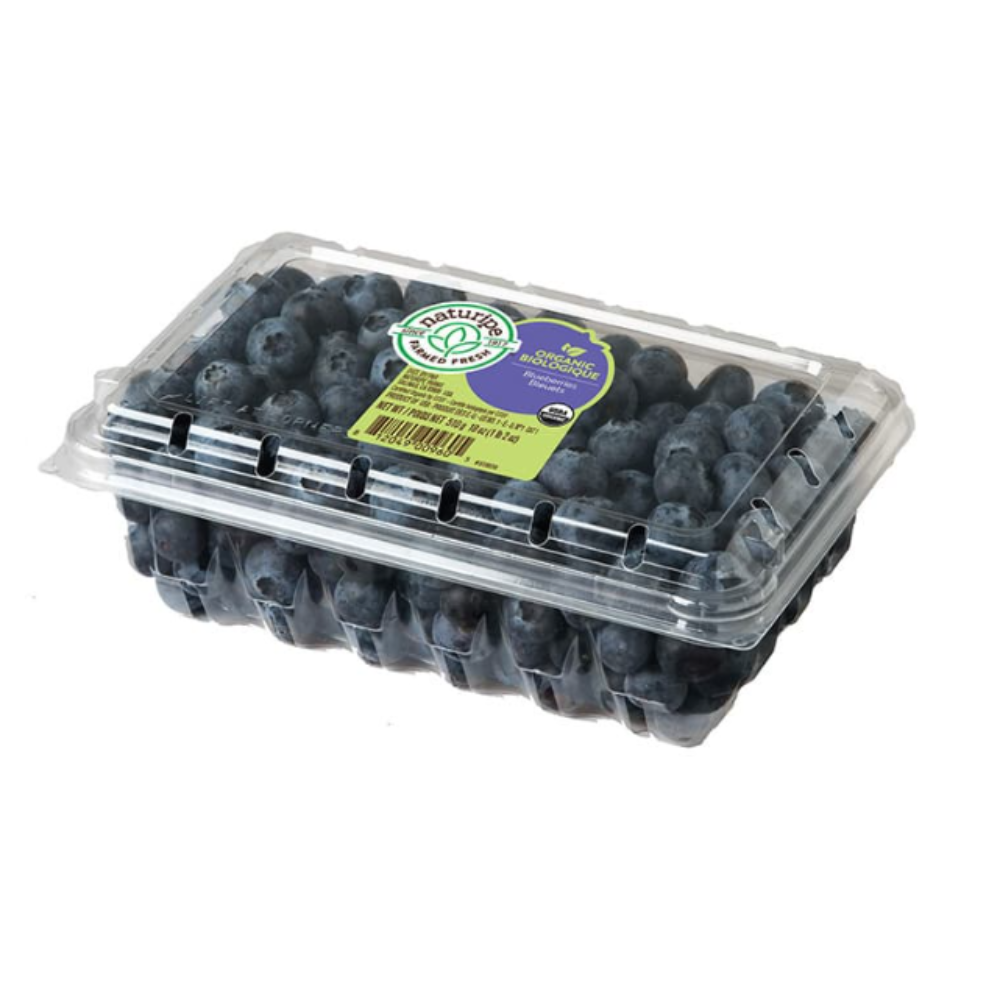 ARANDANO FRESCO X 500GR (HORTIFRUT) - NATURIPE