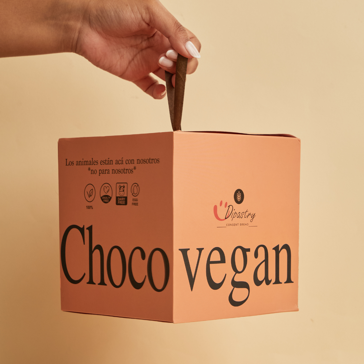 CHOCOTON VEGANO 900G DIPASTRY