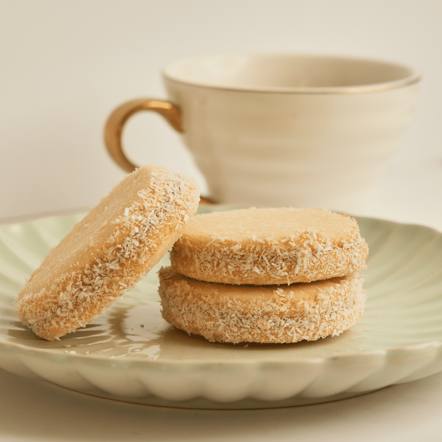 ALFAJOR DE MAICENA BIOSUNQU X UNIDAD
