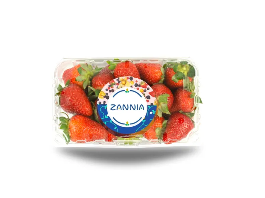 FRESA FRESCA ZANNIA 500 GR - ZANNIA