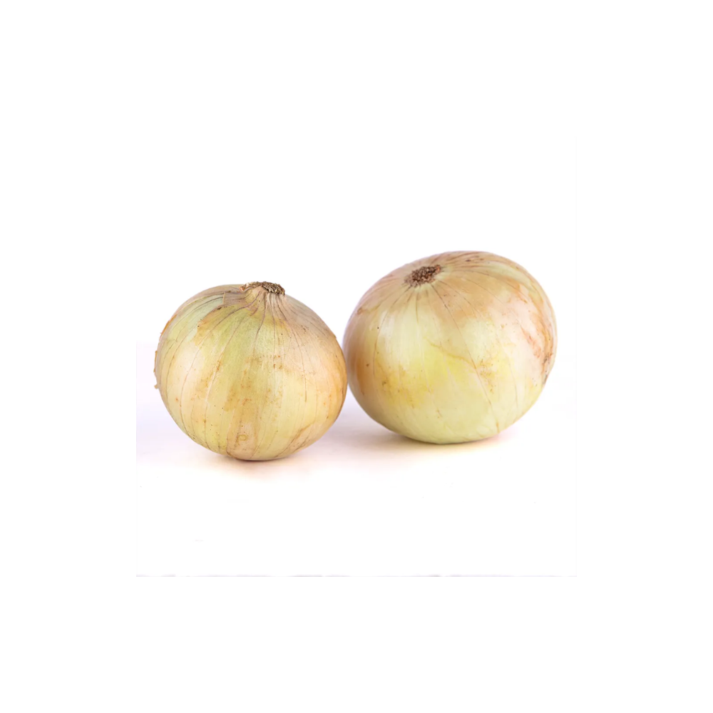 CEBOLLA BLANCA ORGÁNICA KG