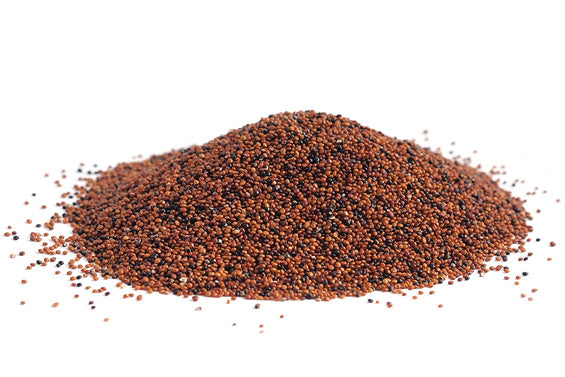 CAÑIHUA 100 GR - A GRANEL