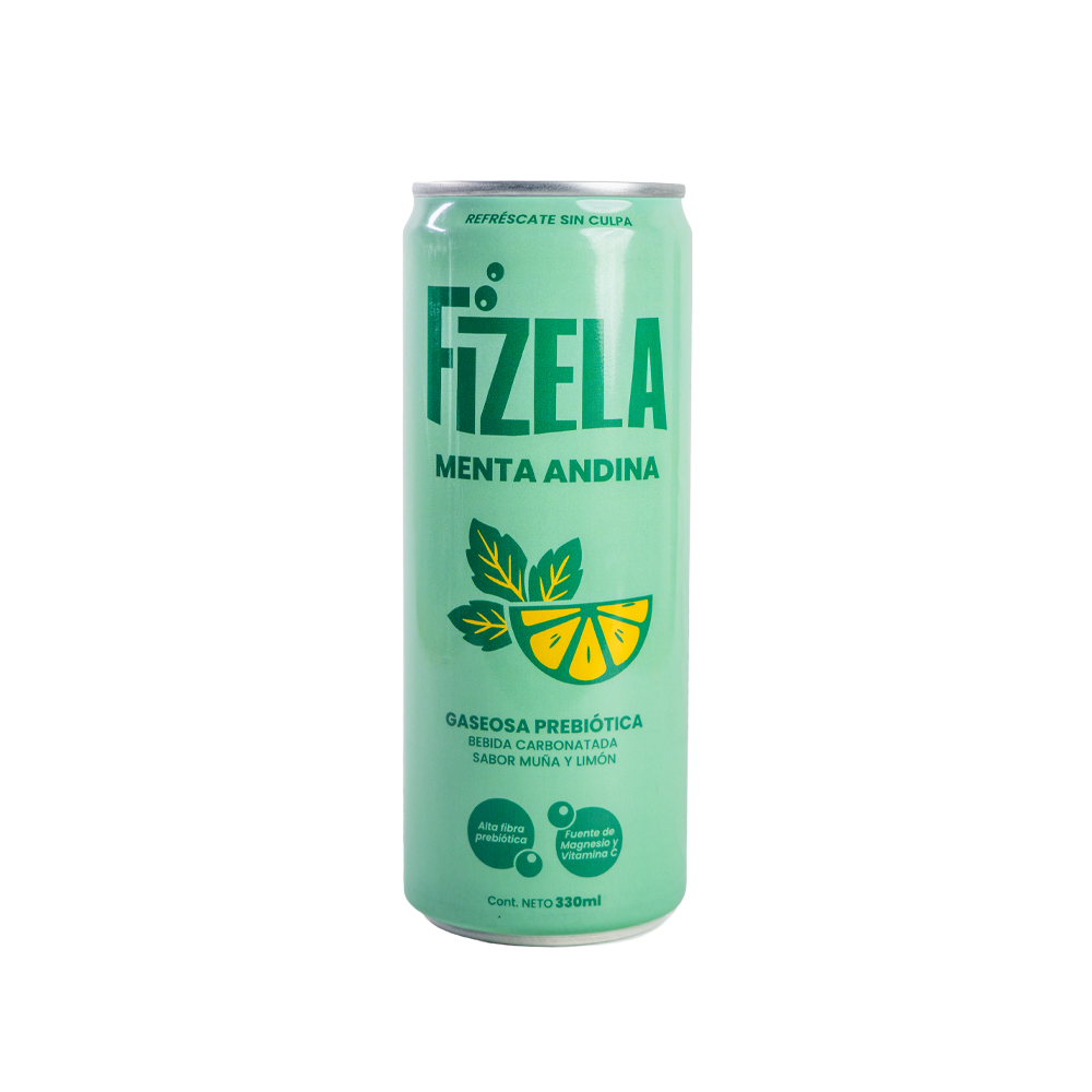 FIZELA MENTA ANDINA X 330ML