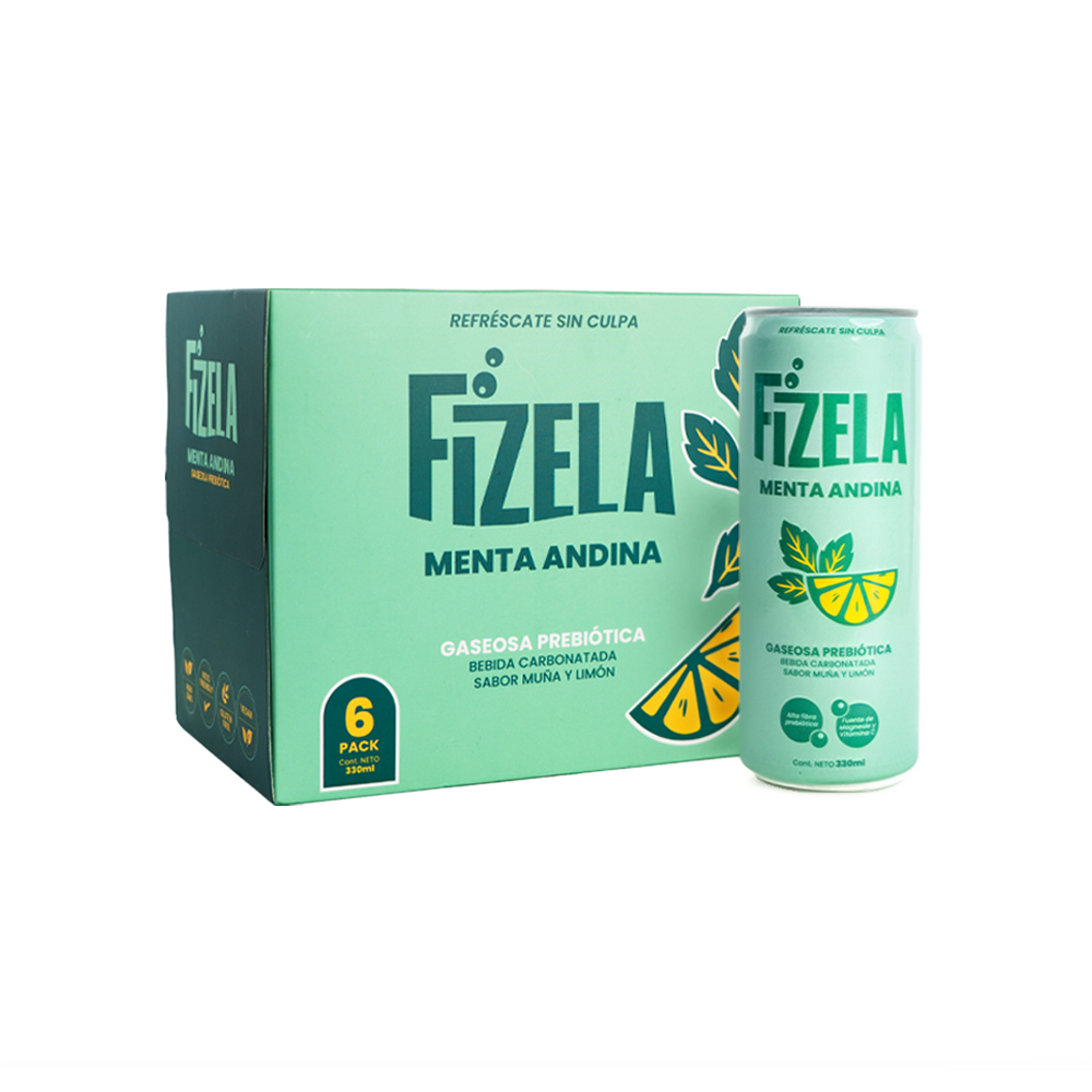 FIZELA MENTA ANDINA 330ML 6 PACK