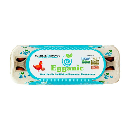 HUEVOS  DE GALLINA - EGGANIC