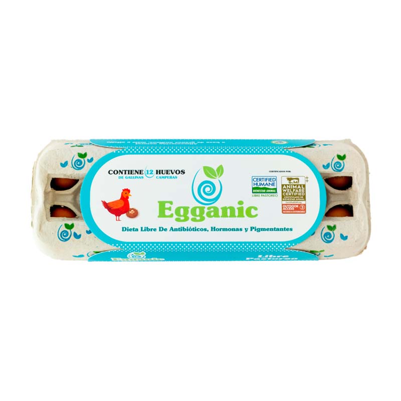 HUEVOS  DE GALLINA - EGGANIC
