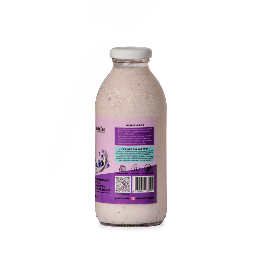 KEFIR DE LECHE CON ARANDANOS 500ML - SIMBIOSE