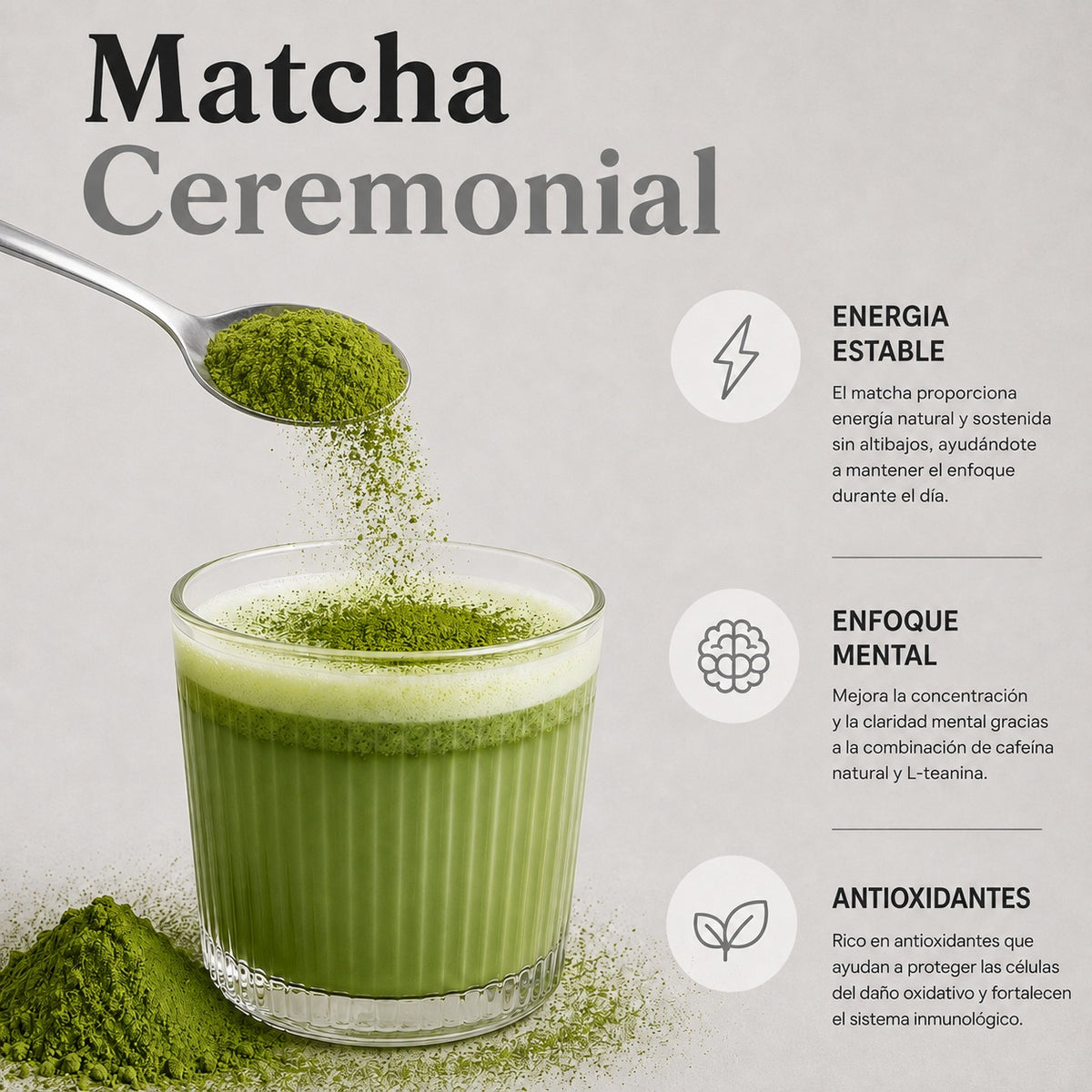 MATCHA DAILY 50 GR REAL FOOD