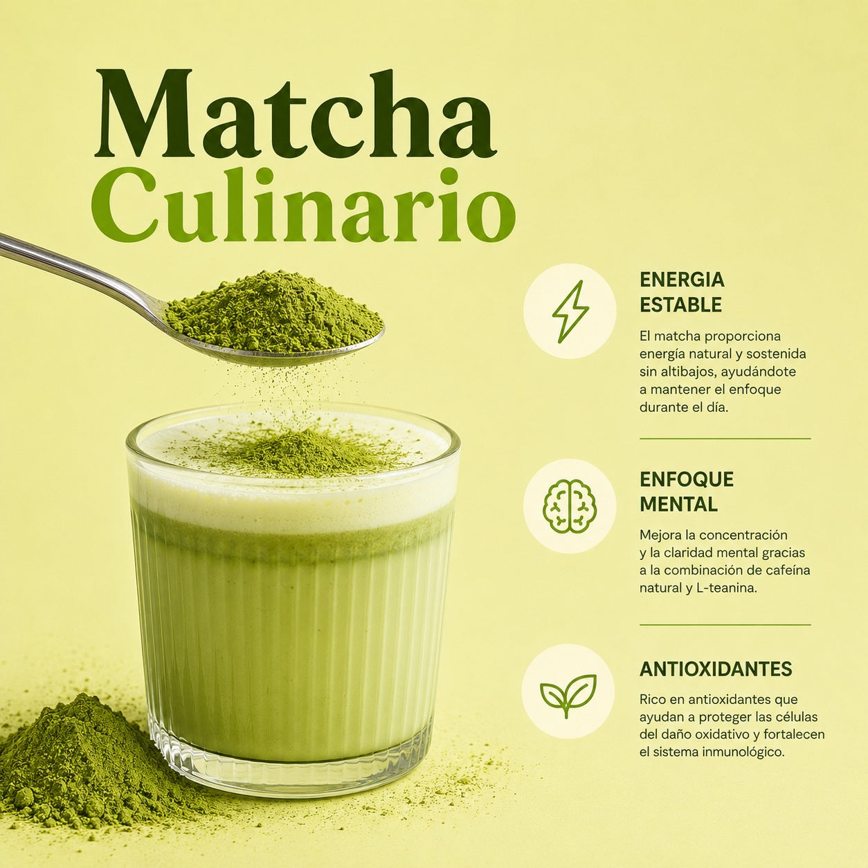MATCHA DAILY 100 GR