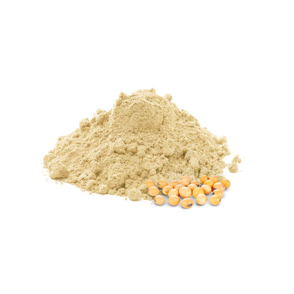 HARINA DE SOYA 100GR  A GRANEL