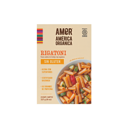 RIGATONI AMERICA ORGANICA 227 GR