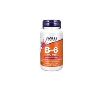 B-6 100 MG - NOW