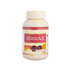 VIDAGUAJE - D´NATIVE 100 CAPSULAS