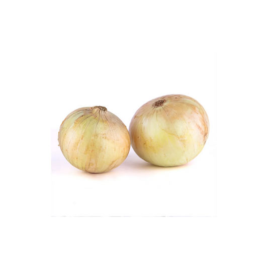 CEBOLLA BLANCA ORGÁNICA KG