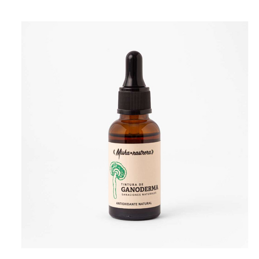 TINTURA DE GANODERMA SILVESTRE 30ml MISHA RASTRERA