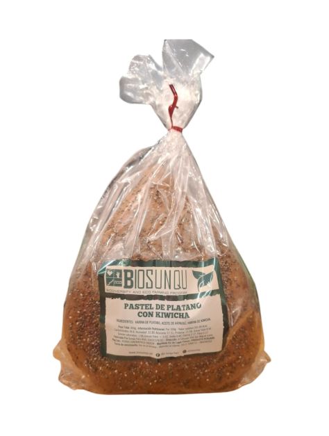PASTEL DE PLATANO BIOSUNQU SALUDABLE